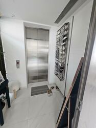 Nathan Suites (D10), Condominium #590753021